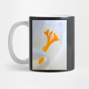 Crocus stamens ~ trumpet Spring Mug